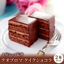 土屋公二シェフ監修 テオブロマ ケイクショコラ 2本セット ケーキ 洋菓子 スイーツ 母の日 ギフト カカオ チョコレートケーキ 誕生日 パーティ バレンタイン...