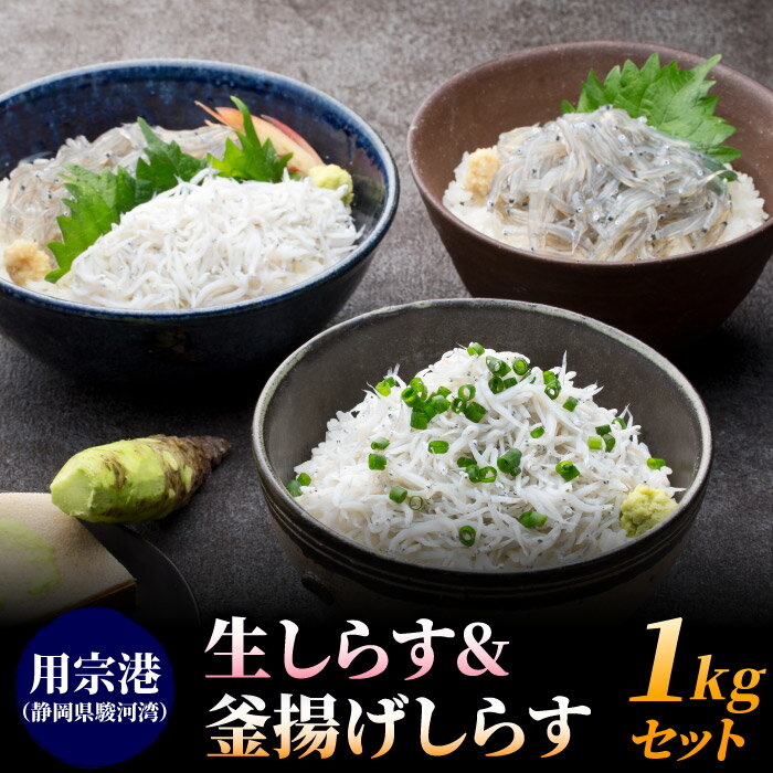 生しらす＆釜揚げしらす1kgセット（各500g） しらす シ