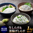 生しらす＆釜揚げしらす1kgセット（各500g） しらす シラス 生シラス 釜揚げシラス 用宗港 駿河湾 静岡県 産地直送 冷凍 小分け 送料無料