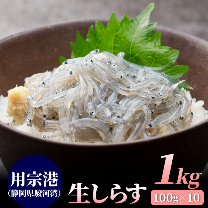 餹1kg100g10ѥå 餹 饹 饹 ʬ  ѽ Ų ٲ ľ  ̵