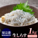 生しらす1kg（100g×10パック） しらす シラス 生シラス 用宗 静岡県 駿河湾 冷凍 産地直送 #元気いただきますプロジェクト販売価格助成商品