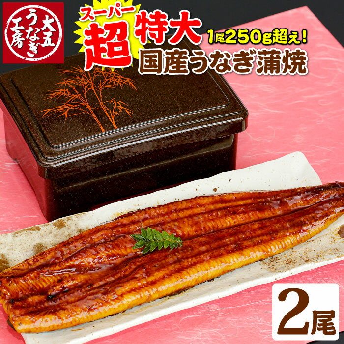 超特大うなぎ蒲焼 250g以上×2尾セット（4～6人前）ウナギ うなぎ 鰻 国産 国産うなぎ 蒲焼 蒲焼き 自宅用 土用の丑の日 丑の日 冷凍 送料無料