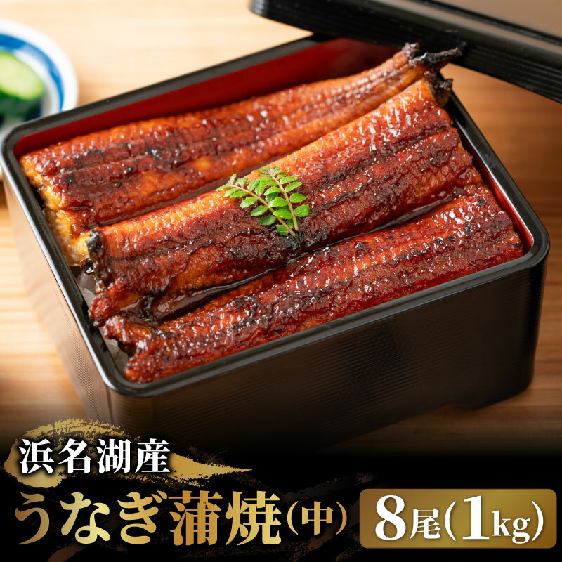 浜名湖産 国産うなぎ蒲焼 (中) 1kg (8尾) うなぎ ウナギ 鰻 メガ盛り 1キロ タレ・山椒付き 業務用 大容量 土用の丑の日 国産 国内産 静岡 静岡県産 浜名湖産 土用の丑 冬グルメのサムネイル