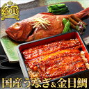 ギフト 伊豆地金目鯛姿煮・国産うなぎ長蒲焼セット(各1尾)キンメダイ うなぎ ウナギ 鰻 国産 国産うなぎ 蒲焼き 蒲焼 金目鯛 煮付け 食べ物 高級 誕生日 ...