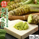 ハウス食品　料亭生わさび（33g）×10個