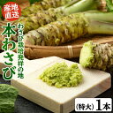 本わさび特大サイズ1本（1本100g以上） 本わさび 生わさび わさび 山葵 ワサビ 静岡産 有東木 特大 送料無料