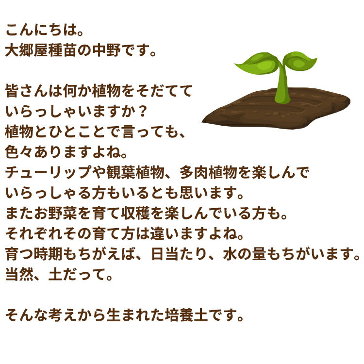 観葉植物の実りの培養土 10L 大郷屋オリジナルブレンド培養土 植物の土