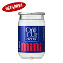 【送料無料2ケース】大関ワンカップ　ミニ　100ml　30本入×2★北海道、沖縄のみ別途送料が必要となります