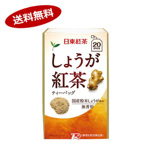 【送料無料1ケース】しょうが紅茶ティーバッグ　日東紅茶（三井農林） （2.2g×20本）×48個★北海道、沖縄のみ別途送料が必要となります