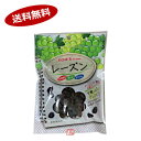 【送料無料1ケース】TON’S BRAND レーズン 東洋ナッツ食品 110g 10袋入★北海道、沖縄のみ別途送料が必要となります - ショップダイヘイ楽天市場店