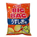 【送料無料1ケース】ポテトチップス うすしお味 ビッグバッグ BIGBAG カルビー 160g 12個入★一部 北海道 沖縄のみ別途送料が必要となる場合があります