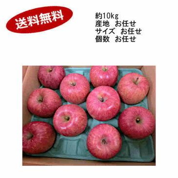 【送料無料】サンふじ 約5kg お任せ(産地 個数 サイズ)★北海道、沖縄のみ別途送料が必要となります