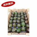 【送料無料】アボカド メキシコ その他 約5k 24-35玉★一部、北海道、沖縄のみ別途送料が必要となる場合があります