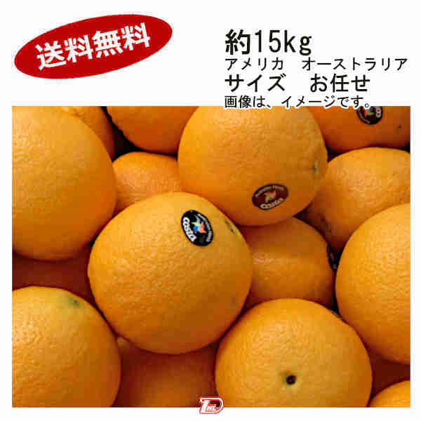 【送料無料】ネーブルオレンジ アメリカ オーストラリア 約15kg サイズ お任せ★一部、北海道、沖縄のみ別途送料が必要となる場合があります