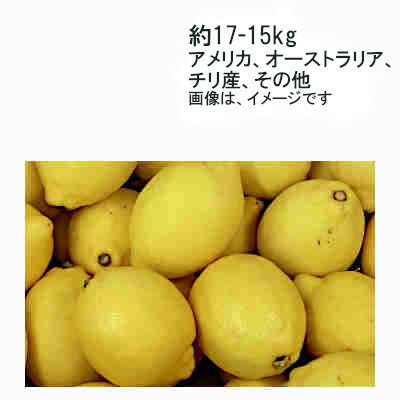 輸入レモン　アメリカ　オーストラリア　チリ産　その他　約15-17kg　95-165玉★一部、北海道、沖縄のみ別途送料が必要となる場合があります