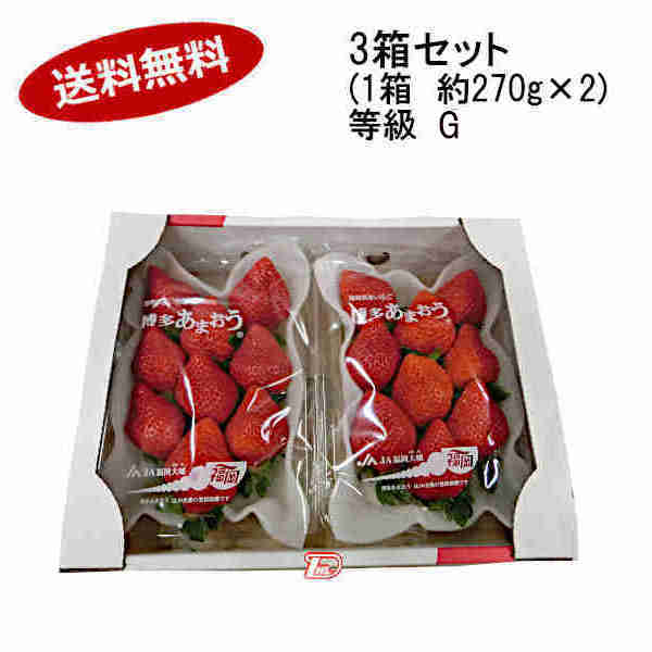 いちご 【送料無料】博多　あまおう　いちご　等級G　福岡県産　3箱　（1箱　約270g×2パック）★一部、北海道、沖縄のみ別途送料が必要となる場合があります