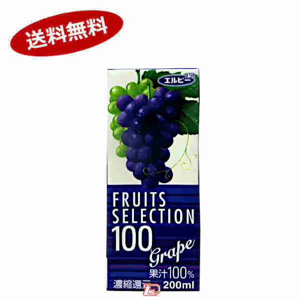 1ۥե롼ĥ쥯100졼סѥå200mlѥå24