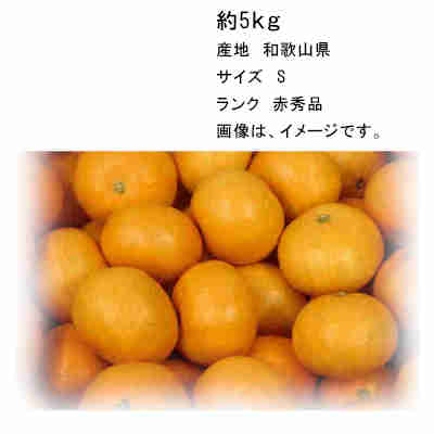 【送料無料】有田産 田村みかん 和歌山県 約5kg サイズ S 赤秀品★北海道、沖縄のみ別途送料が必要となります