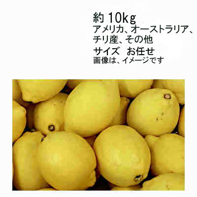 【送料無料】輸入レモン (防ばい剤使用) アメリカ オーストラリア チリ産 その他 約10kg サイズ お任せ★一部、北海道、沖縄のみ別途送料が必要となる場合があります