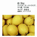 【送料無料】輸入レモン (防ばい剤使用) アメリカ オーストラリア チリ産 その他 約3kg サイズ お任せ★一部、北海道、沖縄のみ別途送料が必要となる場合があ...