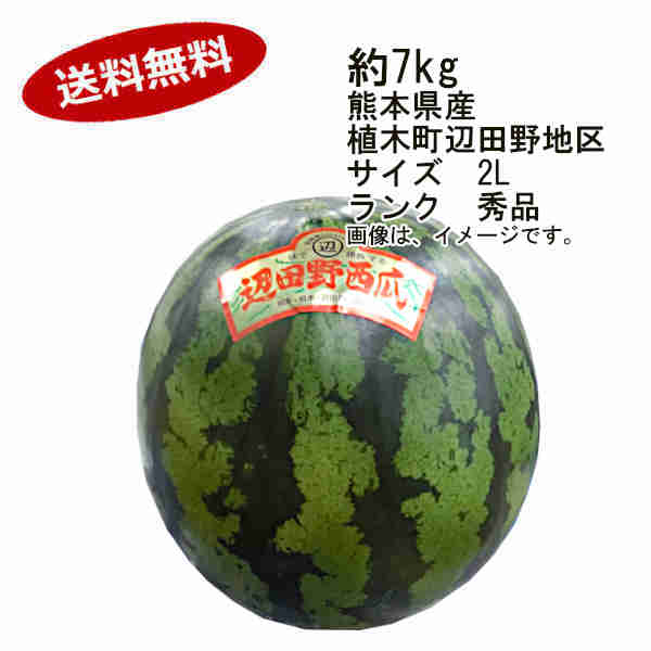 【送料無料】紅まくら西瓜　すいか　熊本県　植木町辺田野地区　1玉　約7kg　サイズ　2L　ランク　秀品★一部、北海道、沖縄のみ別途送料が必要となる場合があります