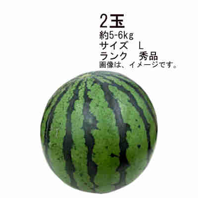 【送料無料】西瓜　すいか　熊本　長崎県　2玉セット　約5-6kg　サイズ　L　ランク　秀品★一部、北海道、沖縄のみ別途送料が必要となる場合があります