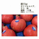 【送料無料】ザクロ　カリフォルニア　チリ　その他　約1kg　2-3玉前後★一部、北海道、沖縄のみ別途送料が必要となる場合があります