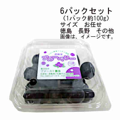 【送料無料】予約　4月上旬-中旬発送　国産ブルーベリー　徳島　長野　その他　6パックセット　（1パック約100g）　サイズ　お任せ★一部、北海道、沖縄のみ別途送料が必要となる場合があります