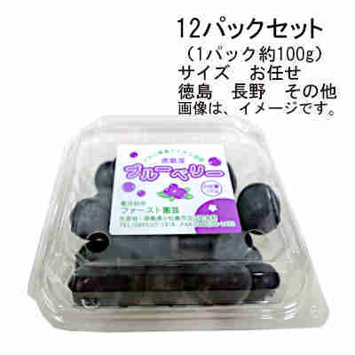 【送料無料】予約　4月上旬-中旬発送　国産ブルーベリー　徳島　長野　その他　12パックセット　（1パック約100g）　サイズ　お任せ★一部、北海道、沖縄のみ別途送料が必要となる場合があります