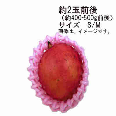 【送料無料】宮崎完熟マンゴー 宮崎県産 約350-450g パック入 1玉入 サイズ2L★一部、北海道、沖縄のみ別途送料が必要となる場合があります 【送料無料】宮崎完熟マンゴー 宮崎県産 約350-450g パック入 1玉入 サイズ2L★一部、北海道、沖縄のみ別途送料が必要となる場合があります