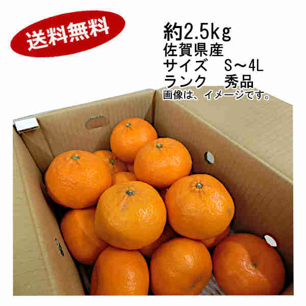 【送料無料】はまさき 約2.5kg 佐賀県 サイズ S-4L ランク 秀品