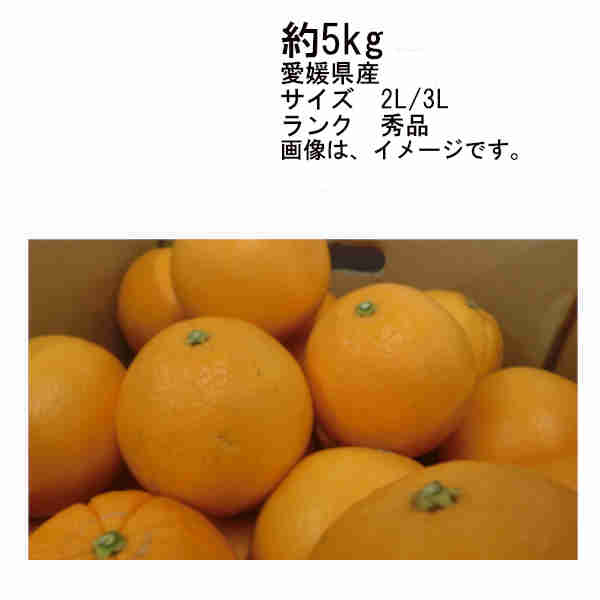 【送料無料】甘平　かんぺい　愛媛県産　約5kg　サイズ　2L/3L　秀品★一部、北海道、沖縄のみ別途送料が必要となる場合があります