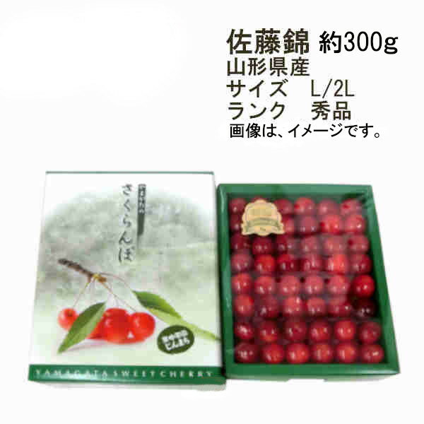 【送料無料】さくらんぼ 佐藤錦 山形県産 約300g サイズ L-2L ランク 秀品★一部、北海道、沖縄のみ別途送料が必要となる場合があります