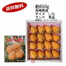 【送料無料】茂木びわ　長崎産　約650g　サイズ　L/2L　秀品★一部、北海道、沖縄のみ別途送料が必要となる場合があります