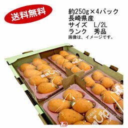 【送料無料】茂木びわ　長崎県産　約250g×4パック　サイズ　L/2L　秀品★一部、北海道、沖縄のみ別途送料が必要となる場合があります