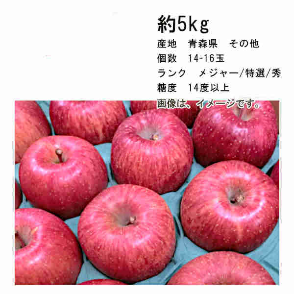 【送料無料】サンふじ 青森 その他 約5kg 14-16玉 ランク メジャー/特選/秀★一部、北海道、沖縄のみ別途送料が必要となる場合があります