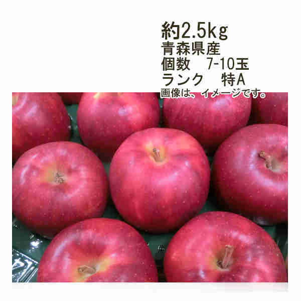 【送料無料】予約　12月上旬-中旬以降発送　着日指定不可　ジョナゴールド　約2.5kg　個数　7-10玉　ランク　特A★一部、北海道、沖縄のみ別途送料が必要となる場合があります