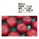 りんご 【送料無料】紅玉　りんご　青森県　その他　約5kg　個数　約20-23玉　ランク　特撰/秀★一部、北海道、沖縄のみ別途送料が必要となる場合があります