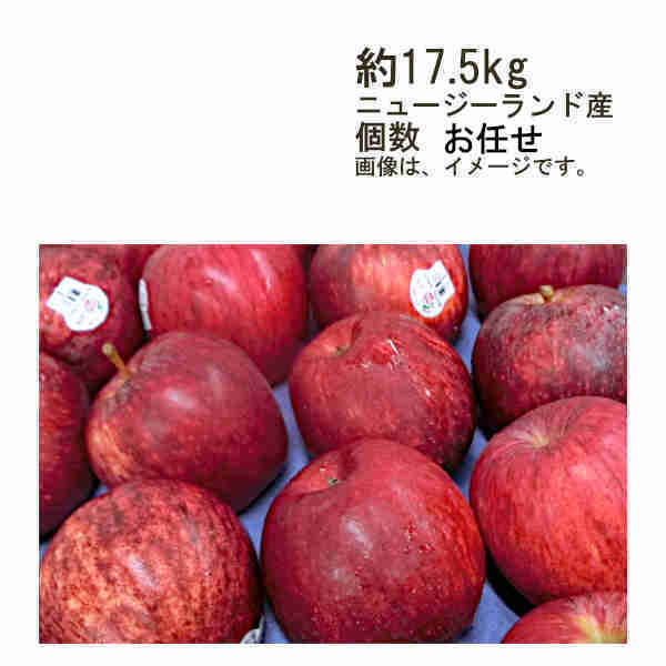 りんご 【送料無料】ガラりんご　ジャズりんご　ニュージーランド産　約17.5kg　個数お任せ★一部、北海道、沖縄のみ別途送料が必要となる場合があります