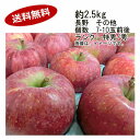 【送料無料】シナノリップ りんご 長野県産 その他 約2.5kg 個数 7-10玉前後 ランク 特秀/秀★一部、北海道、沖縄のみ別途送料が必要となる場合がありま...