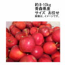 【送料無料】着日指定不可 アルプス乙女 青森県 約8-10kg サイズ お任せ★一部、北海道、沖縄のみ別途送料が必要となる場合があります(4)