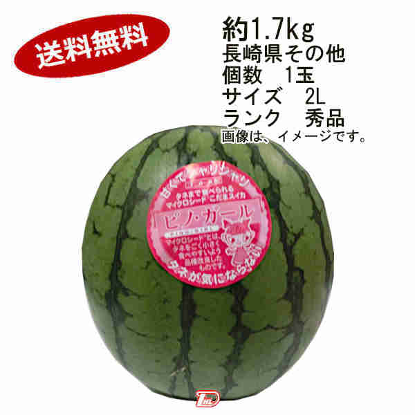 ピノガール　種まで食べられる　こだますいか　長崎県その他　約1.7kg　個数　1玉　サイズ　2L　ランク　秀品★一部、北海道、沖縄のみ別途送料が必要となる場合があります