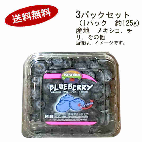 【送料無料】ブルーベリー メキシコ、チリ、その他 3パックセット (1パック約125g)★一部、北海道、沖縄のみ別途送料が必要となる場合があります