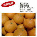 【送料無料】清見オレンジ　和歌山県　約2.5kg　サイズ　M/L/2L　ランク　秀品★一部、北海道、沖縄のみ別途送料が必要となる場合があります