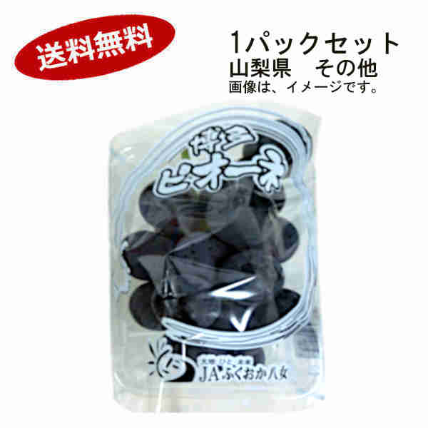 【送料無料】種無し　ピオーネ　ぶどう　1パック　山梨　その他★一部、北海道、沖縄のみ別途送料が必要となる場合があります