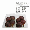 【送料無料】いちじく 愛知県産 その他 2パックセット (1パック約300-350g) サイズ お任せ ランク 秀品★一部、北海道、沖縄のみ別途送料が必要となる...