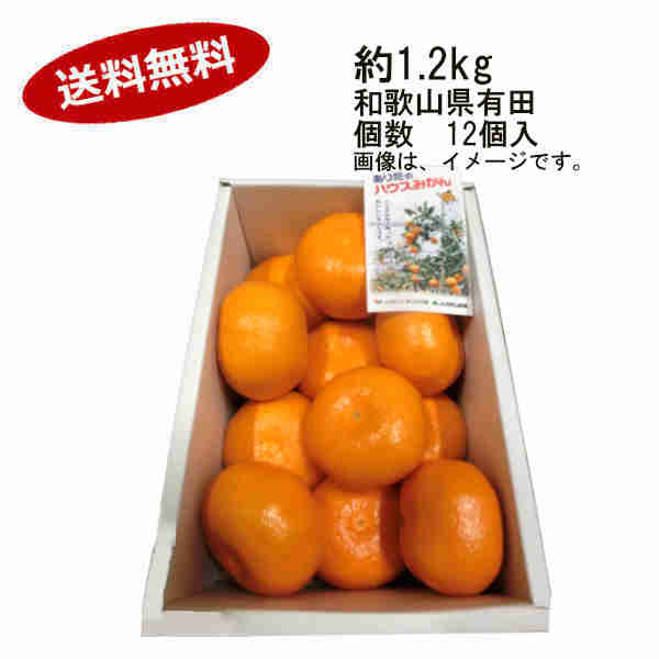 みかん 【送料無料】有田温室みかん　和歌山県有田地域　約1.2kg　12個入★一部、北海道、沖縄のみ別途送料が必要となる場合があります