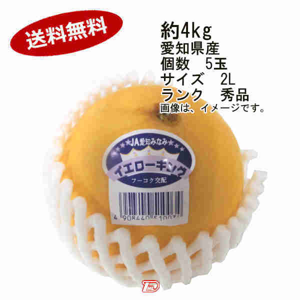 【送料無料】イエローキングメロン 愛知県 約4kg 5玉入 サイズ 2L ランク 秀品★一部 北海道 沖縄のみ別途送料が必要となる場合があります