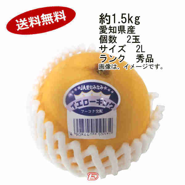 【送料無料】イエローキングメロン 愛知県 約1.5kg 2玉入 サイズ 2L ランク 秀品★一部 北海道 沖縄のみ別途送料が必要となる場合があります