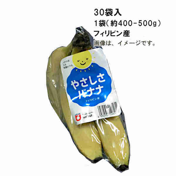 【送料無料】レギュラーバナナ フィリピン その他産 30袋入 1袋 約400-500g ★一部 北海道 沖縄のみ別途送料が必要となる場合があります